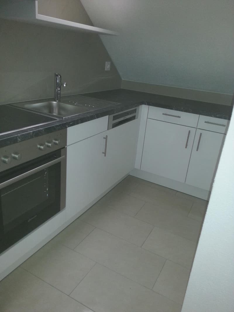 Bell'appartamento mansardato di 2 camere in affitto (1)