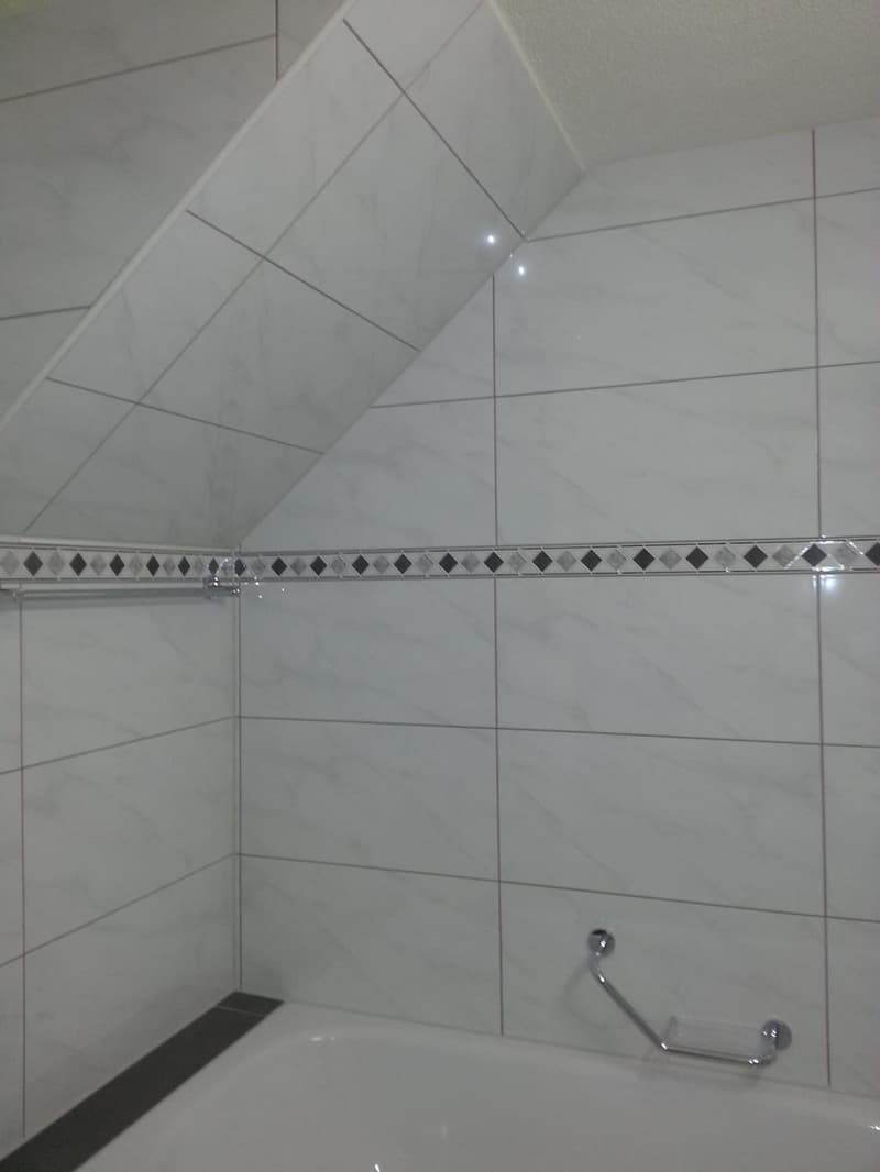 Bell'appartamento mansardato di 2 camere in affitto (5)