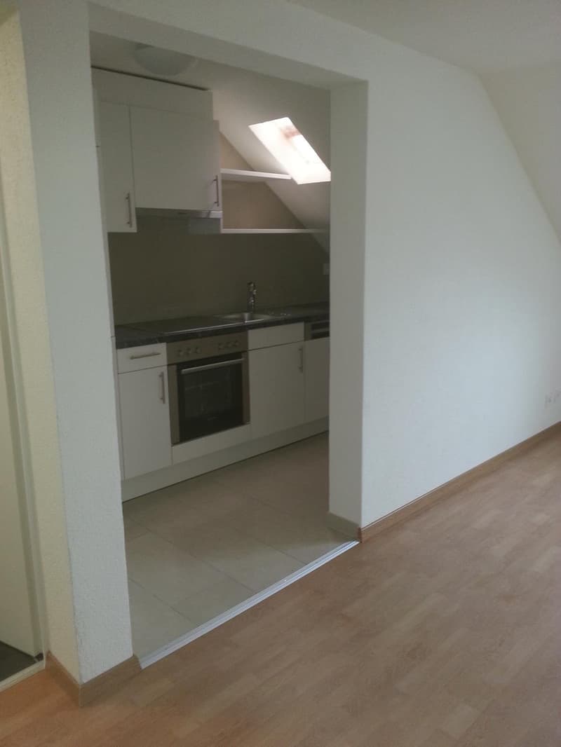 Bell'appartamento mansardato di 2 camere in affitto (3)