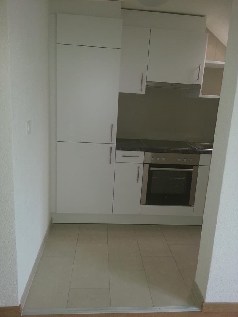 Bell'appartamento mansardato di 2 camere in affitto (2)