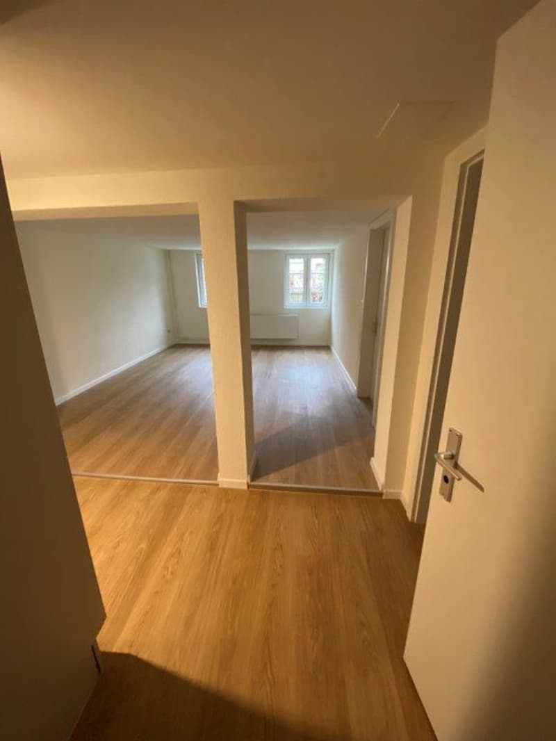 Appartamento di 2 locali ristrutturato con charme a Grünigen (5)