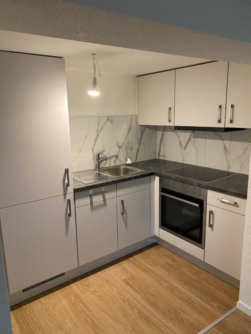 Appartamento di 2 locali ristrutturato con charme a Grünigen (3)