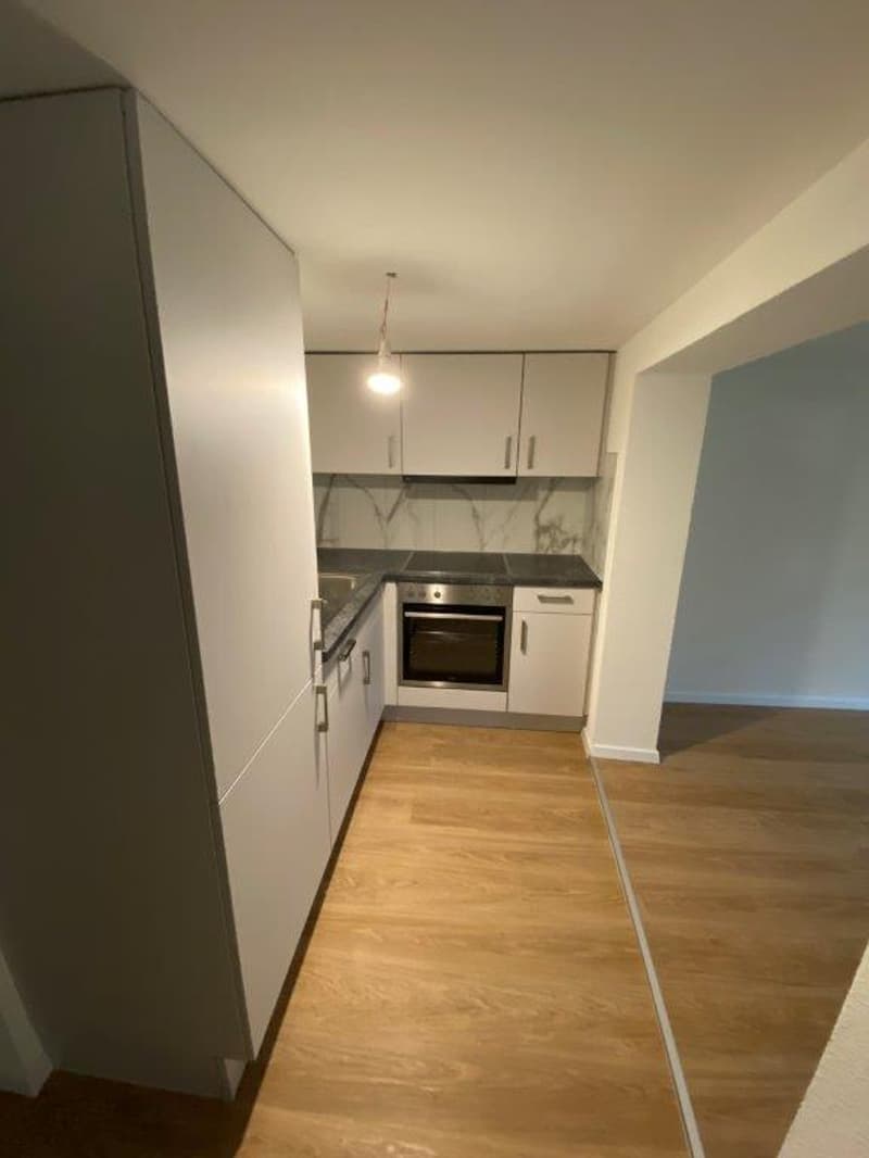 Appartamento di 2 locali ristrutturato con charme a Grünigen (2)