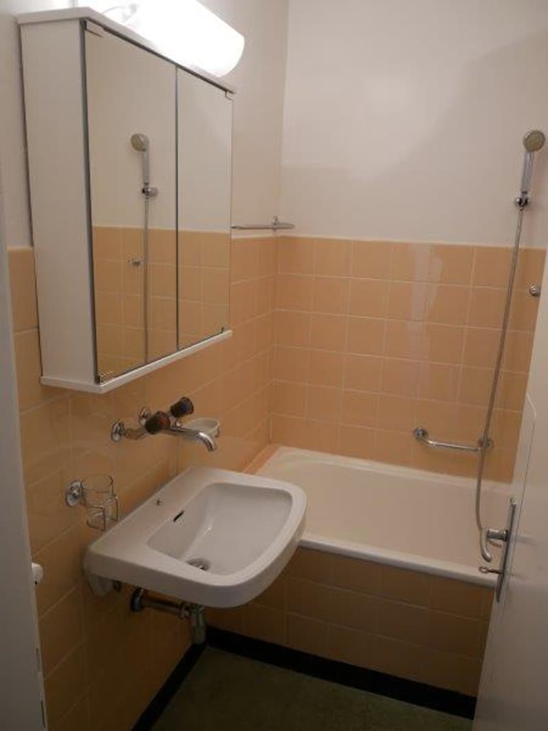 Charmant appartement 2 pièces à Grenchen (4)