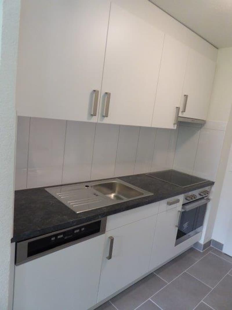 Appartamento grande e bellissimo in affitto in una buona posizione (6)