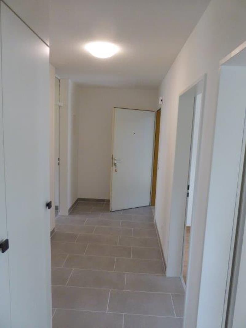 Appartamento grande e bellissimo in affitto in una buona posizione (2)