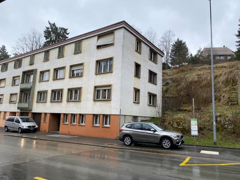 Magnificent 5.5-room apartment with balcony and fireplace (12)