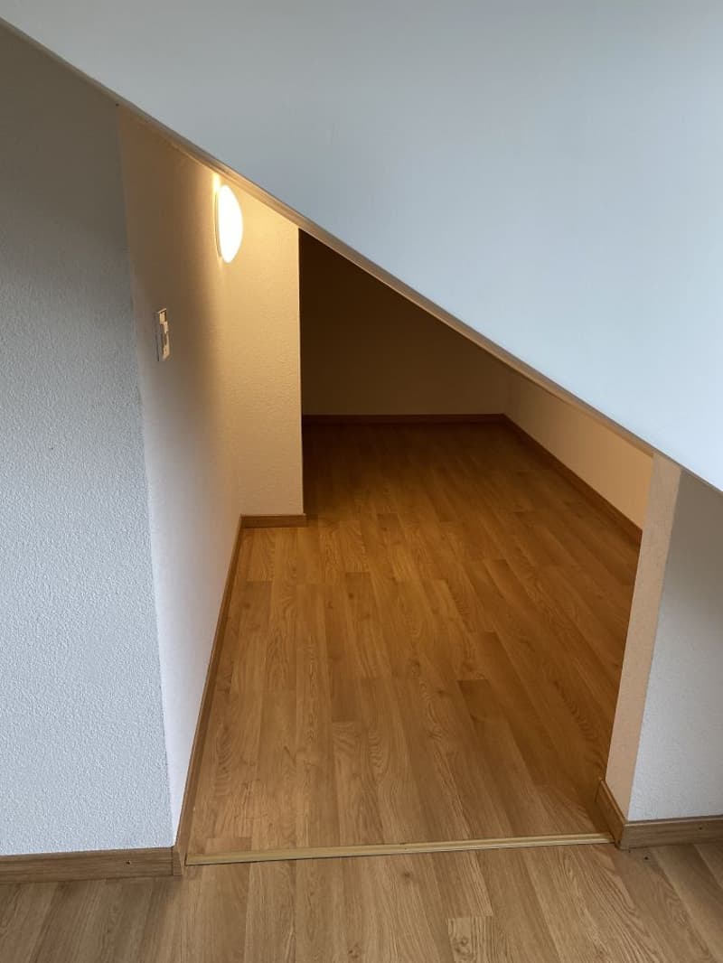 Wunderschöne 2.5-Zimmerwohnung (8)