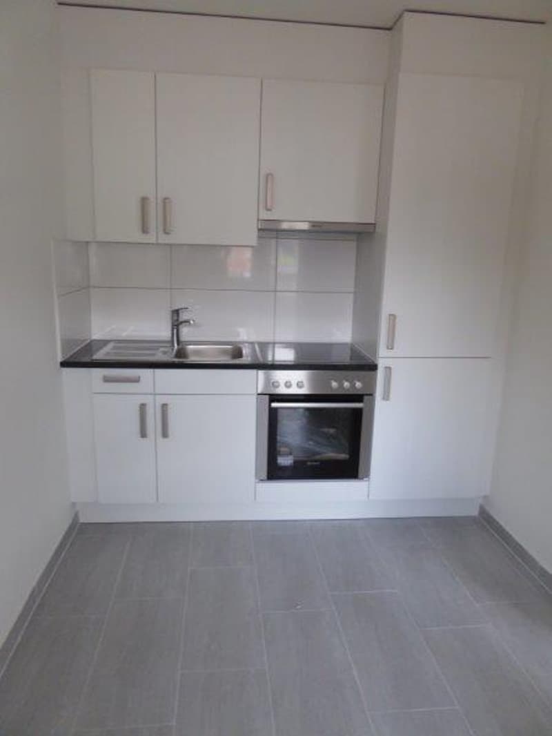 Appartement 1.5 pièces magnifique à louer (4)