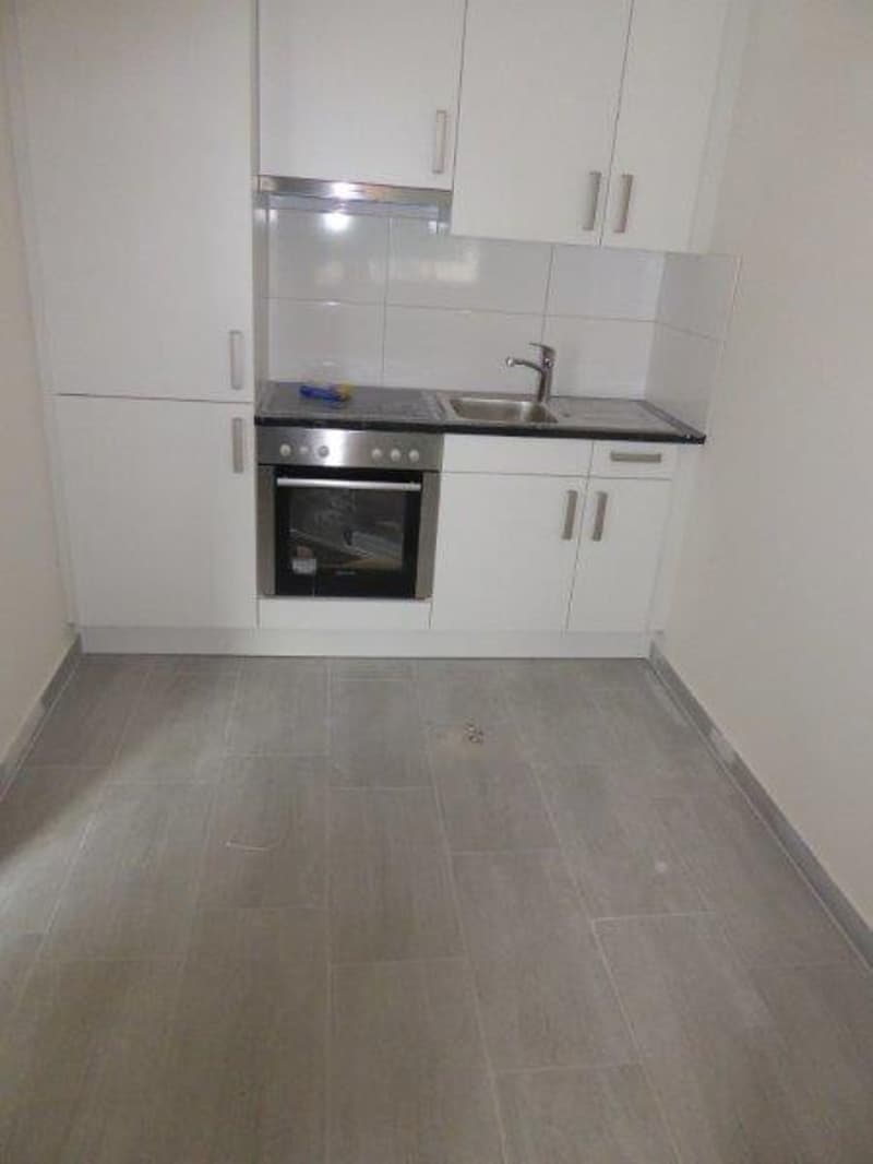 Appartement 1.5 pièces magnifique à louer (3)