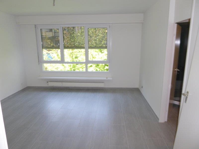 Appartement 1.5 pièces magnifique à louer (1)