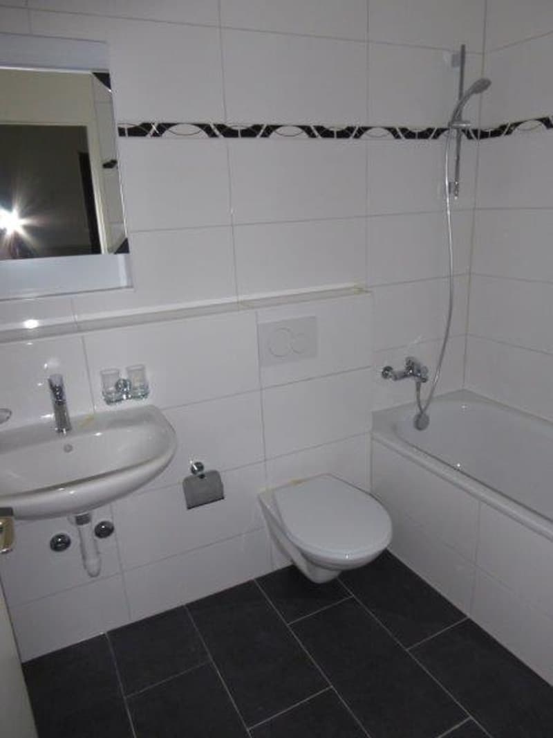 Appartement 1.5 pièces magnifique à louer (5)