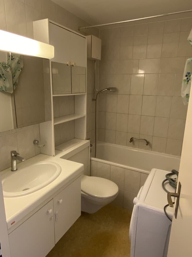 Bright 3.5-room apartment with balcony and beautiful view in Niederlenz (6)