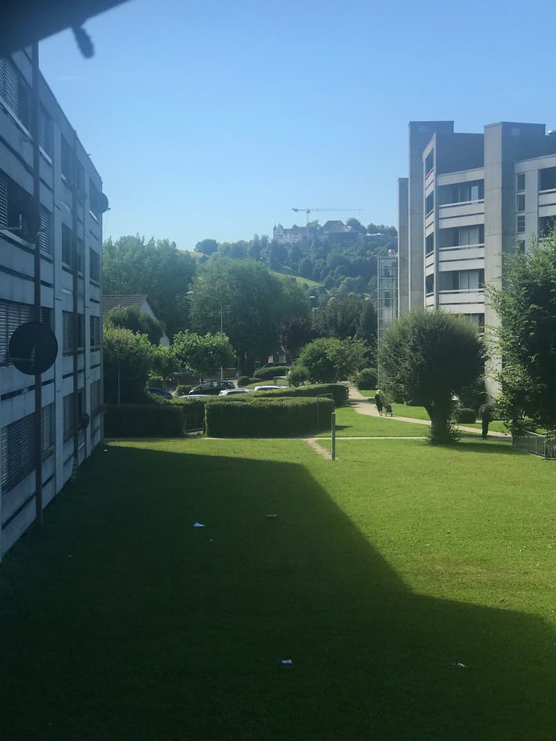 Bright 3.5-room apartment with balcony and beautiful view in Niederlenz (1)