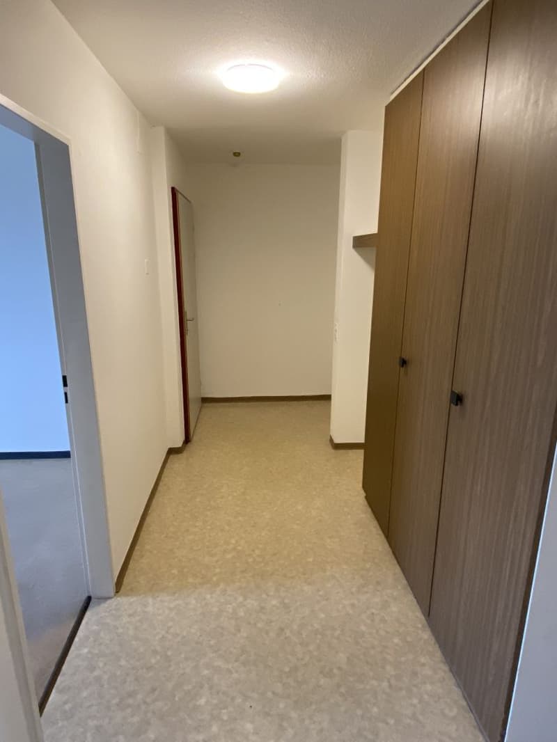 Bright 3.5-room apartment with balcony and beautiful view in Niederlenz (2)