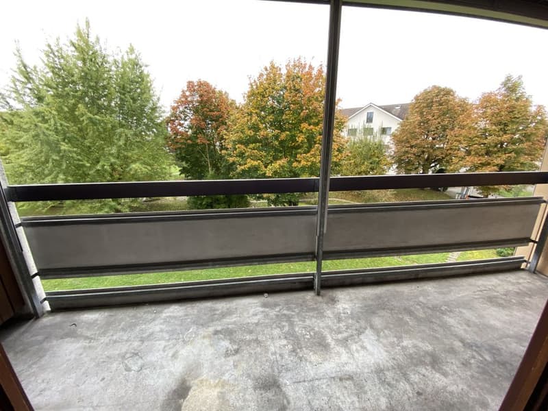 Bright 3.5-room apartment with balcony and beautiful view in Niederlenz (9)