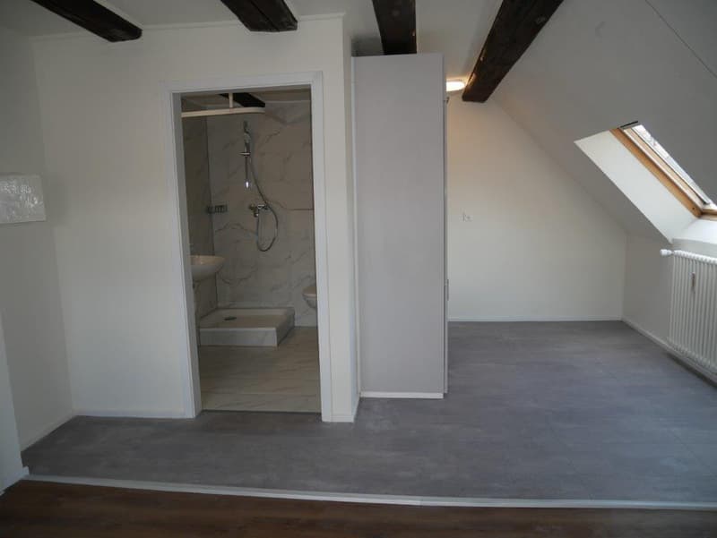 Studiolo moderno e accogliente di 1 camera all'ultimo piano a Diessenhofen (5)