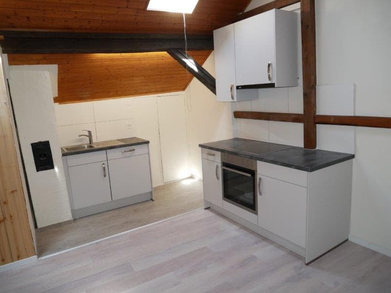 Appartamento mansardato ristrutturato 2 locali – disponibile immediatamente (3)