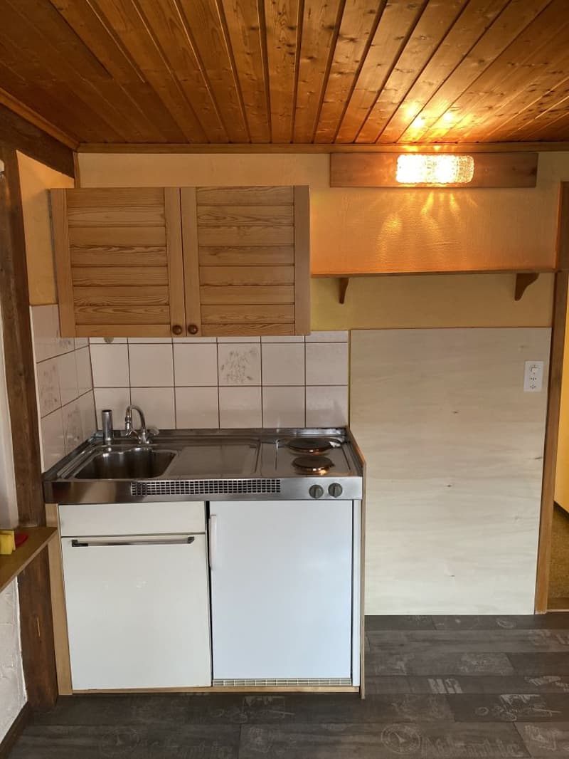 Charmante 2-Zimmer Dachwohung zu vermieten (4)