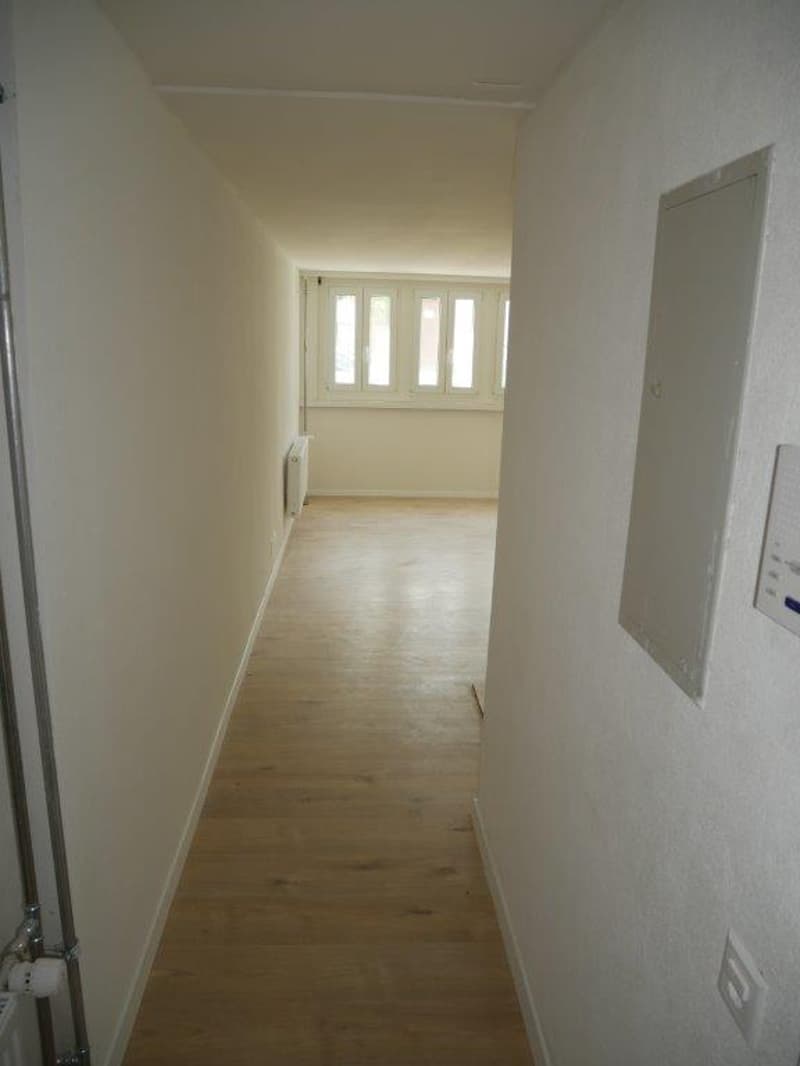 Beautiful 1-bedroom apartment - perfect for singles! (2)