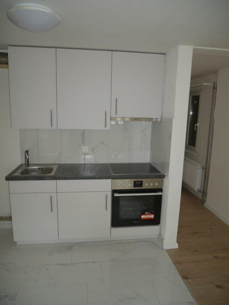 Beautiful 1-bedroom apartment - perfect for singles! (3)