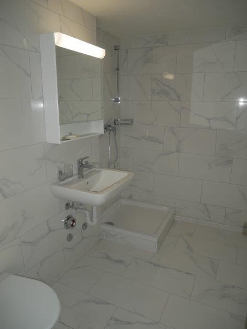 Beautiful 1-bedroom apartment - perfect for singles! (5)