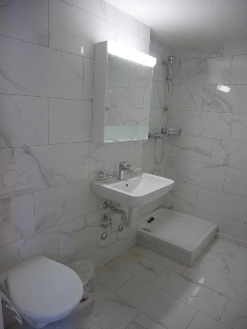 Beautiful 1-bedroom apartment - perfect for singles! (4)