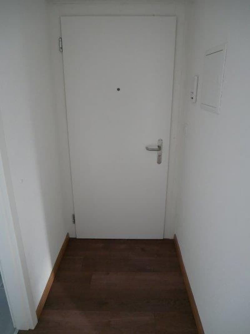 Gemütliche 2-Zimmer-Wohnung mit Balkon in Wangen bei Olten (5)