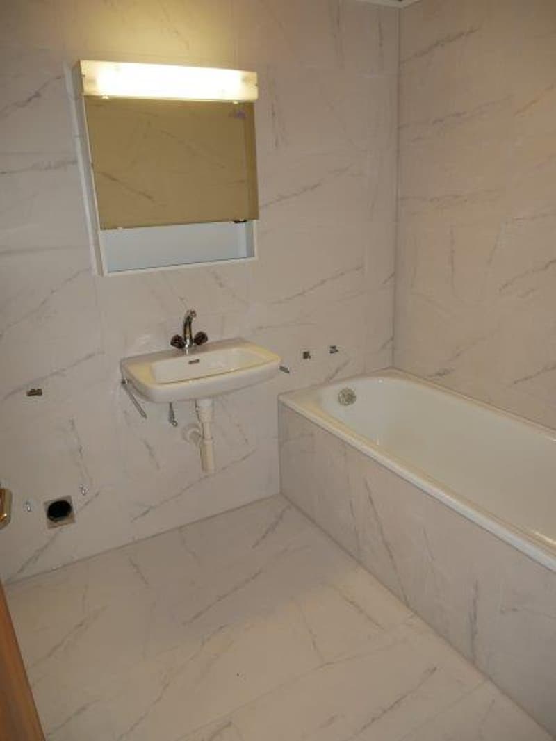 Appartement de 3,5 pièces rénové à louer (5)