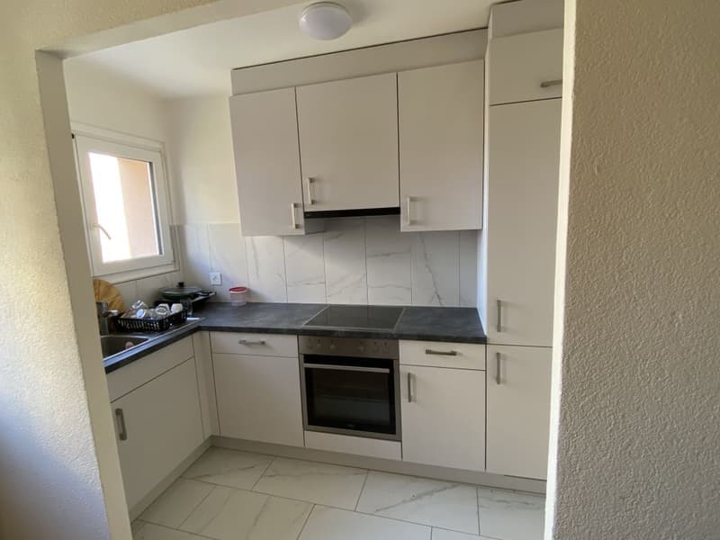 Incantevole appartamento di 2,5 locali a Villars-sur-Glâne (2)