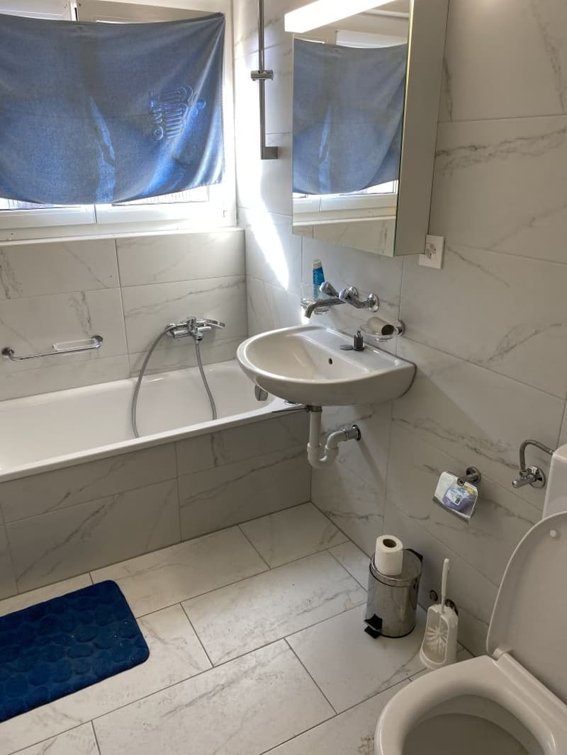 Incantevole appartamento di 2,5 locali a Villars-sur-Glâne (3)