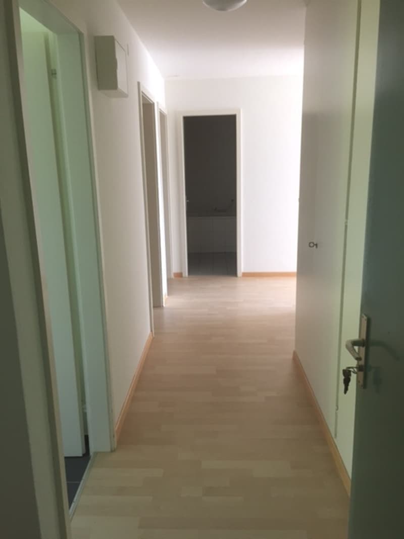Appartamento di 3 camere bellissimo in affitto (6)