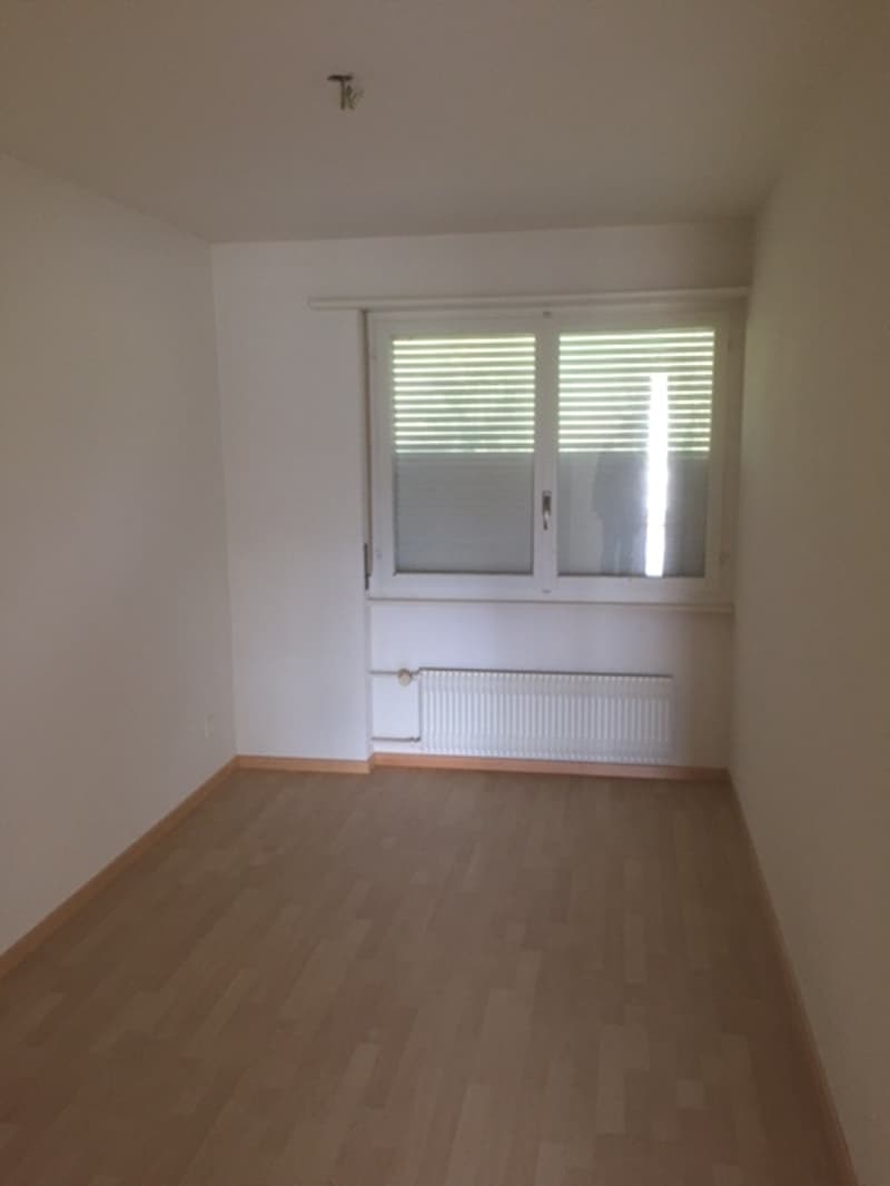 Appartamento di 3 camere bellissimo in affitto (3)