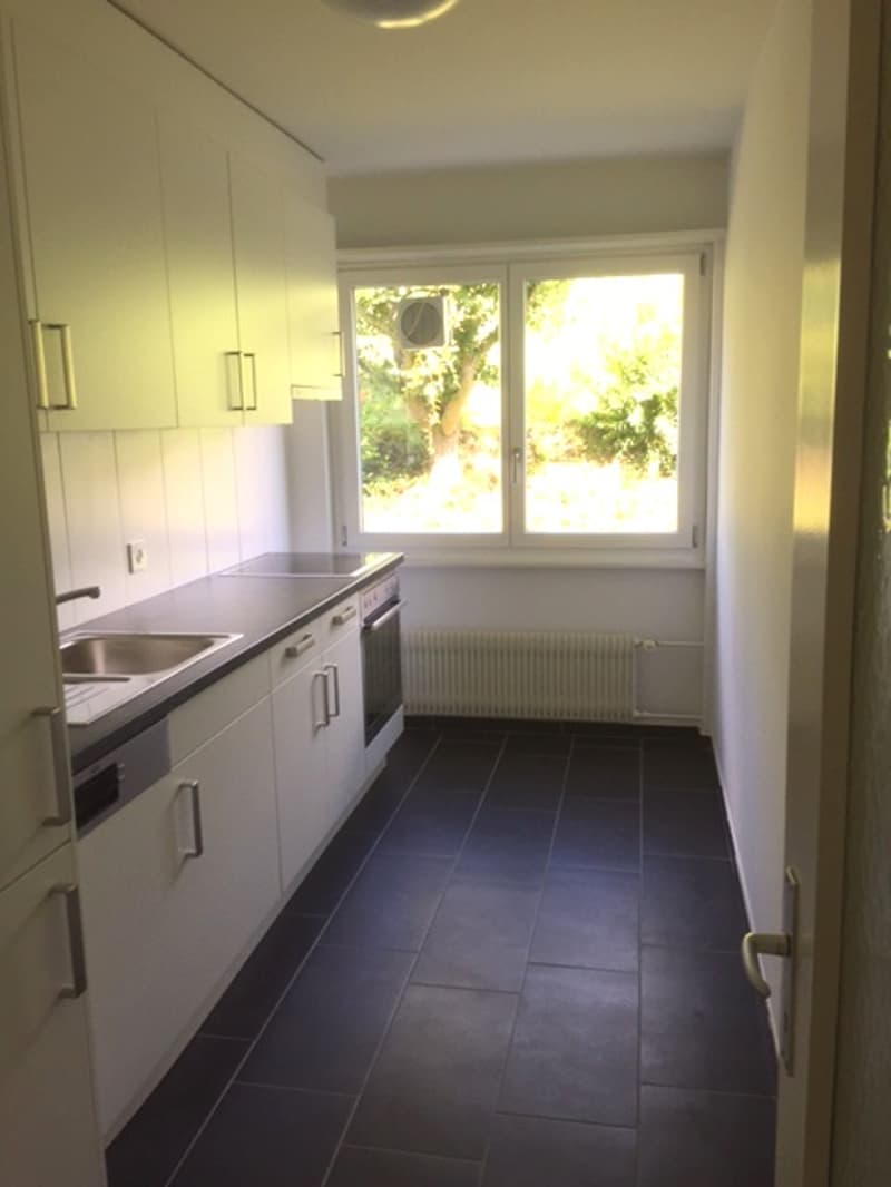 Appartamento di 3 camere bellissimo in affitto (5)
