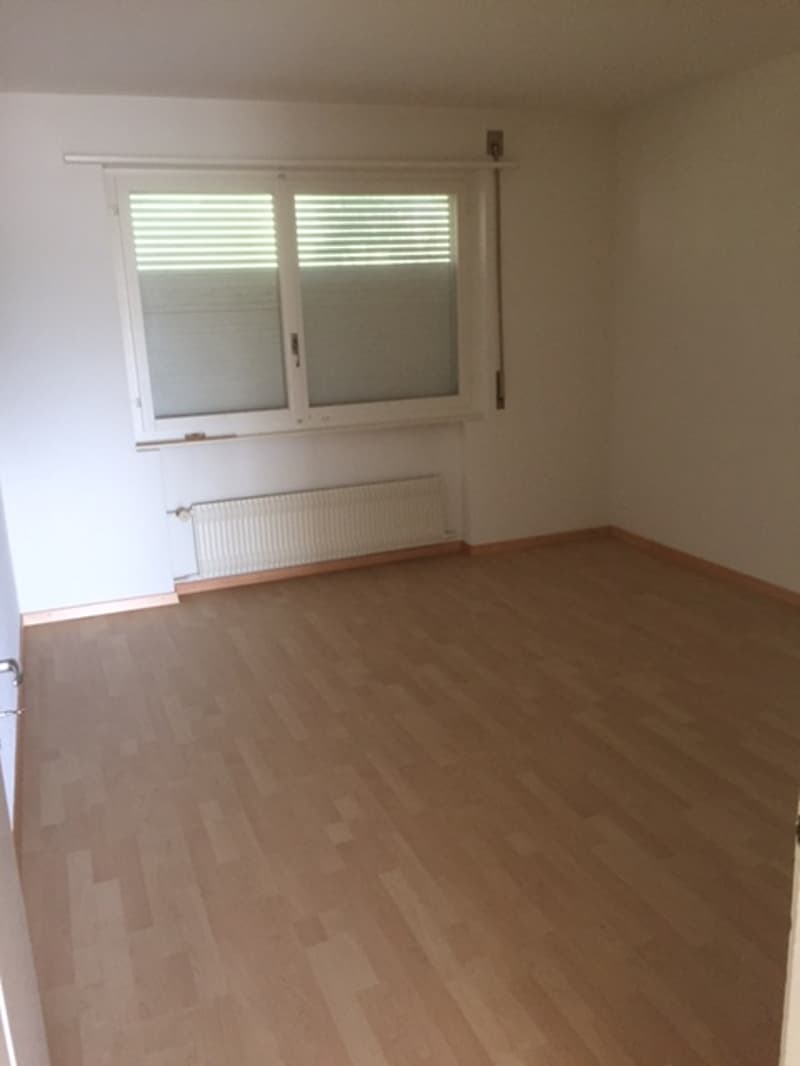 Appartamento di 3 camere bellissimo in affitto (2)