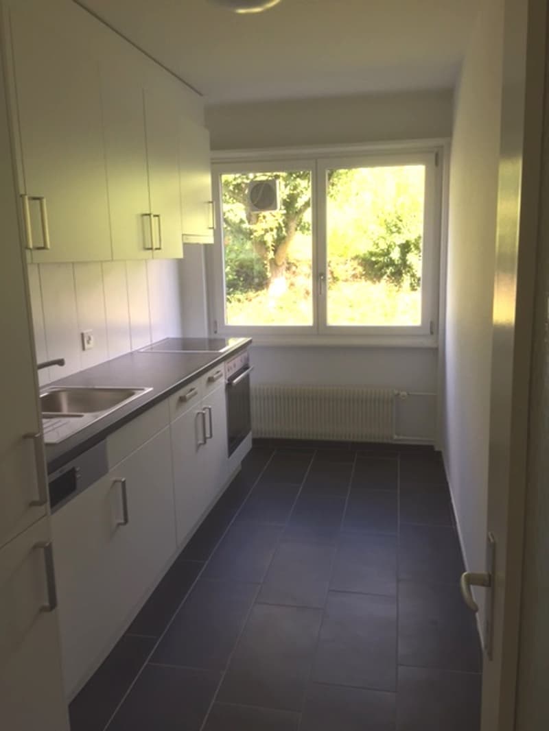 Appartamento di 3 camere bellissimo in affitto (4)