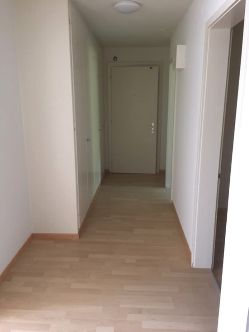 Appartamento di 3 camere bellissimo in affitto (7)