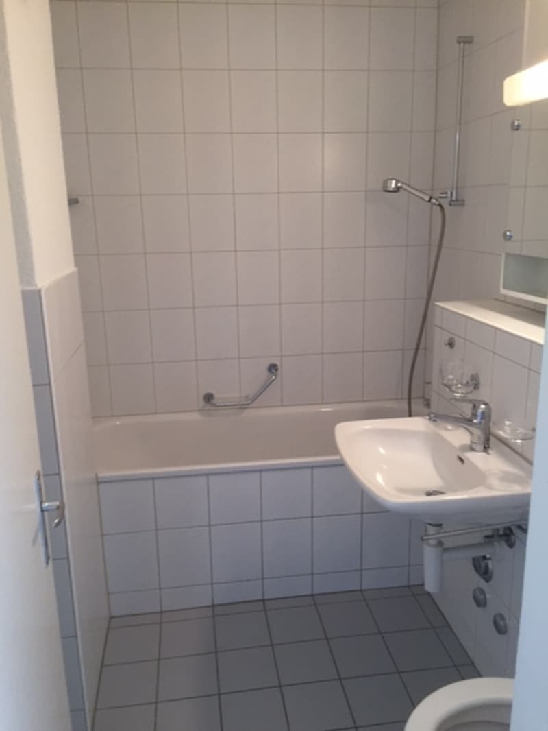 Appartamento di 3 camere bellissimo in affitto (8)