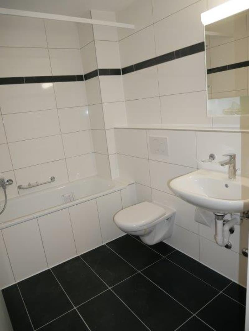 Renovierte 2-Zimmer-Wohnung in Waldenburg (6)
