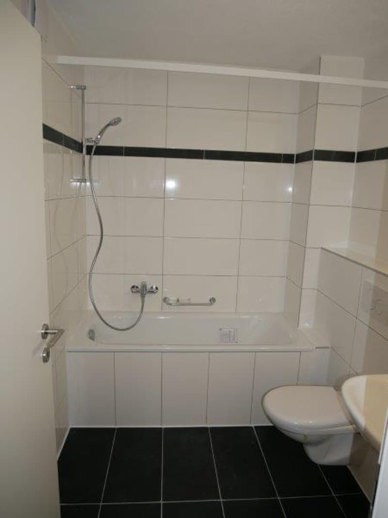 Renovierte 2-Zimmer-Wohnung in Waldenburg (5)