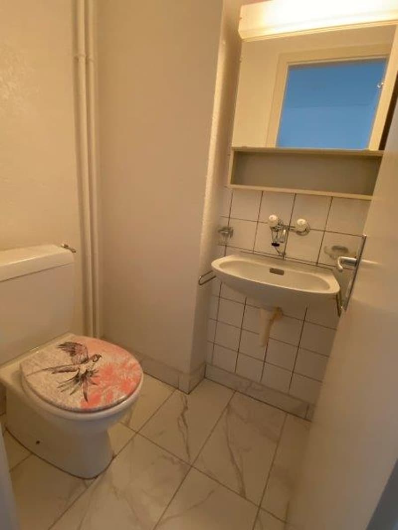 Magnifique appartement de trois pièces (5)