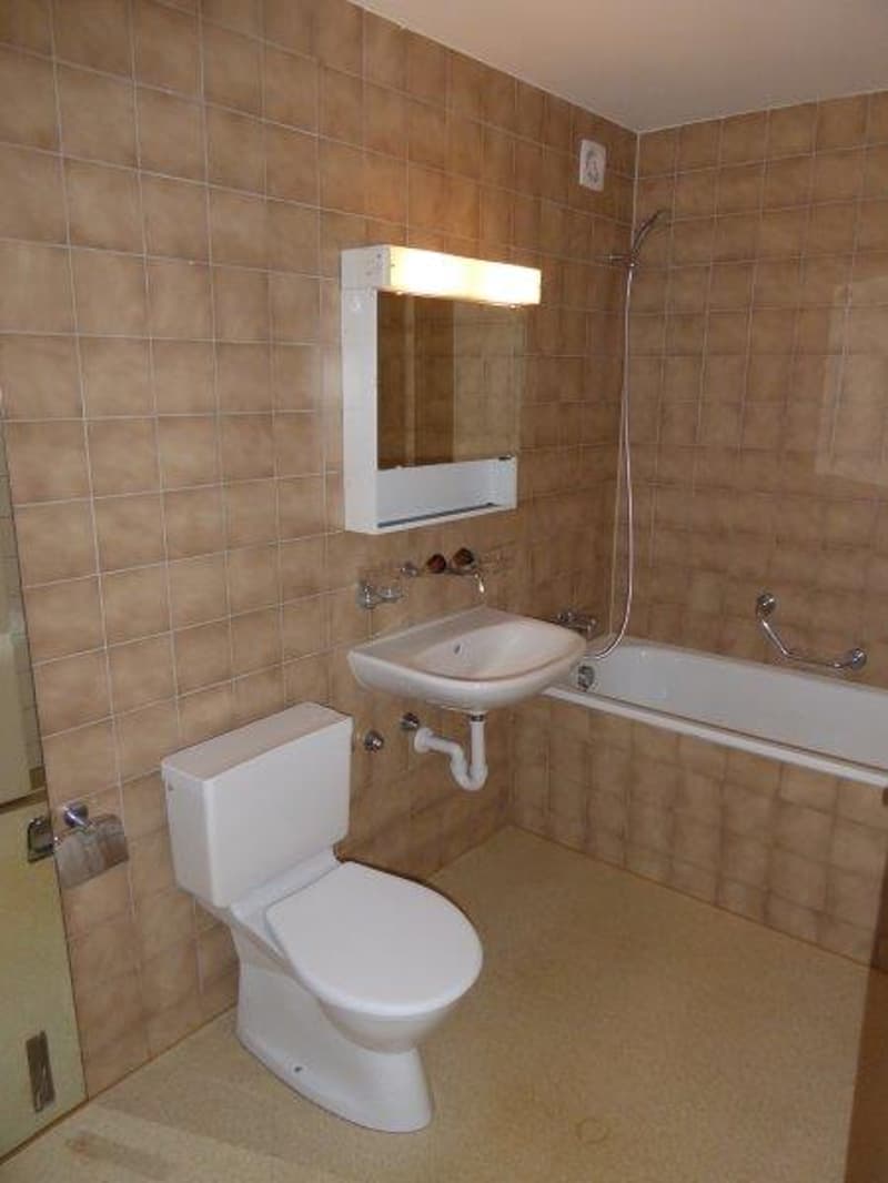 Grosse, wunderschöne 3.5-Zimmer-Wohnung (8)