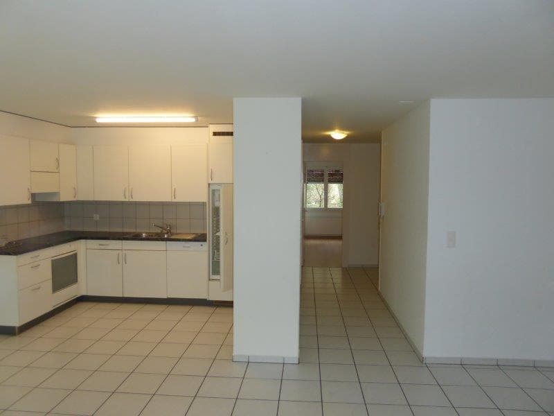Large, beautiful 3.5-room apartment (4)