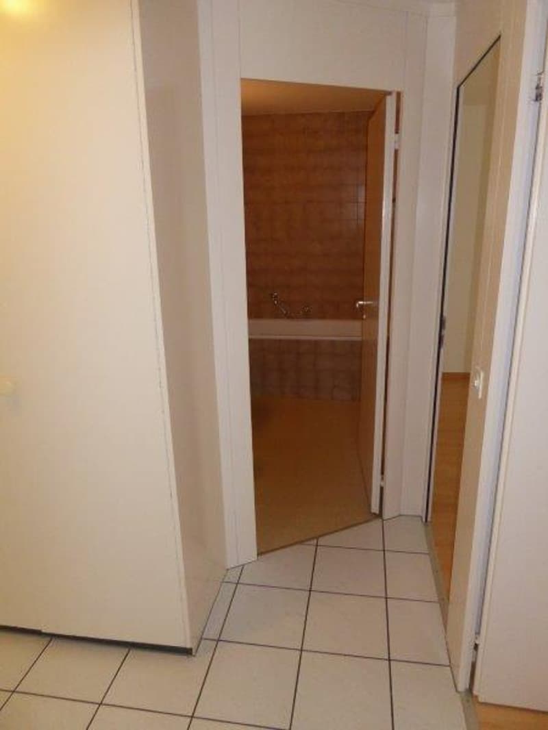 Large, beautiful 3.5-room apartment (6)