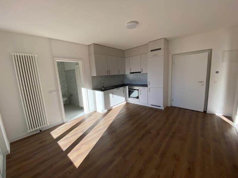 Helles 2-Zimmer-Wohnung mit Balkon und Bergblick in Biasca (2)