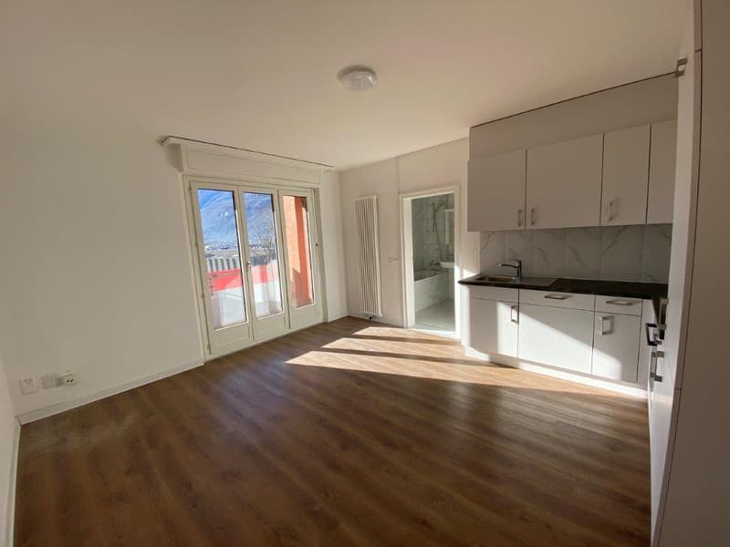 Helles 2-Zimmer-Wohnung mit Balkon und Bergblick in Biasca (3)