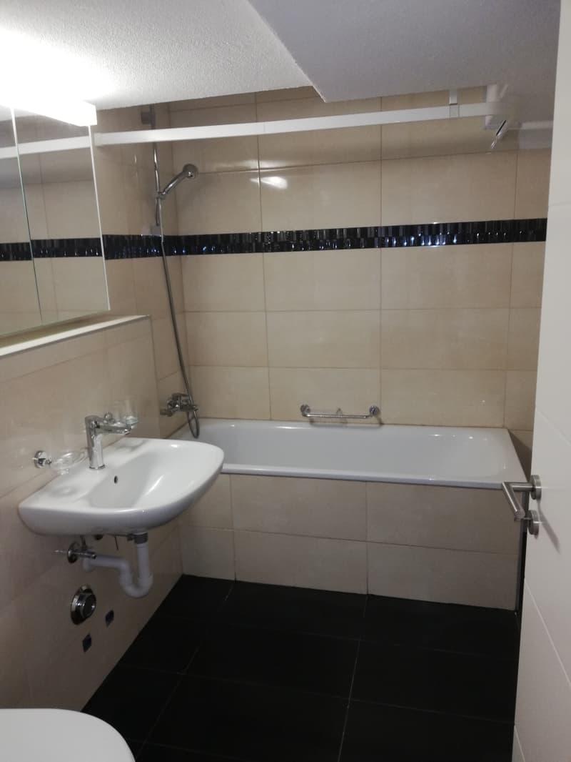 Beautiful 3-room apartment near the Rhine Falls (8)