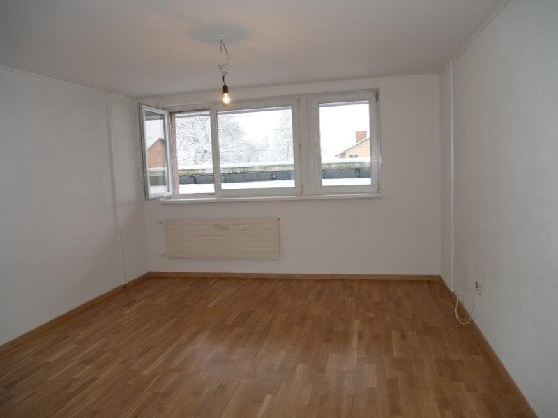 Beautiful 3-room apartment near the Rhine Falls (4)
