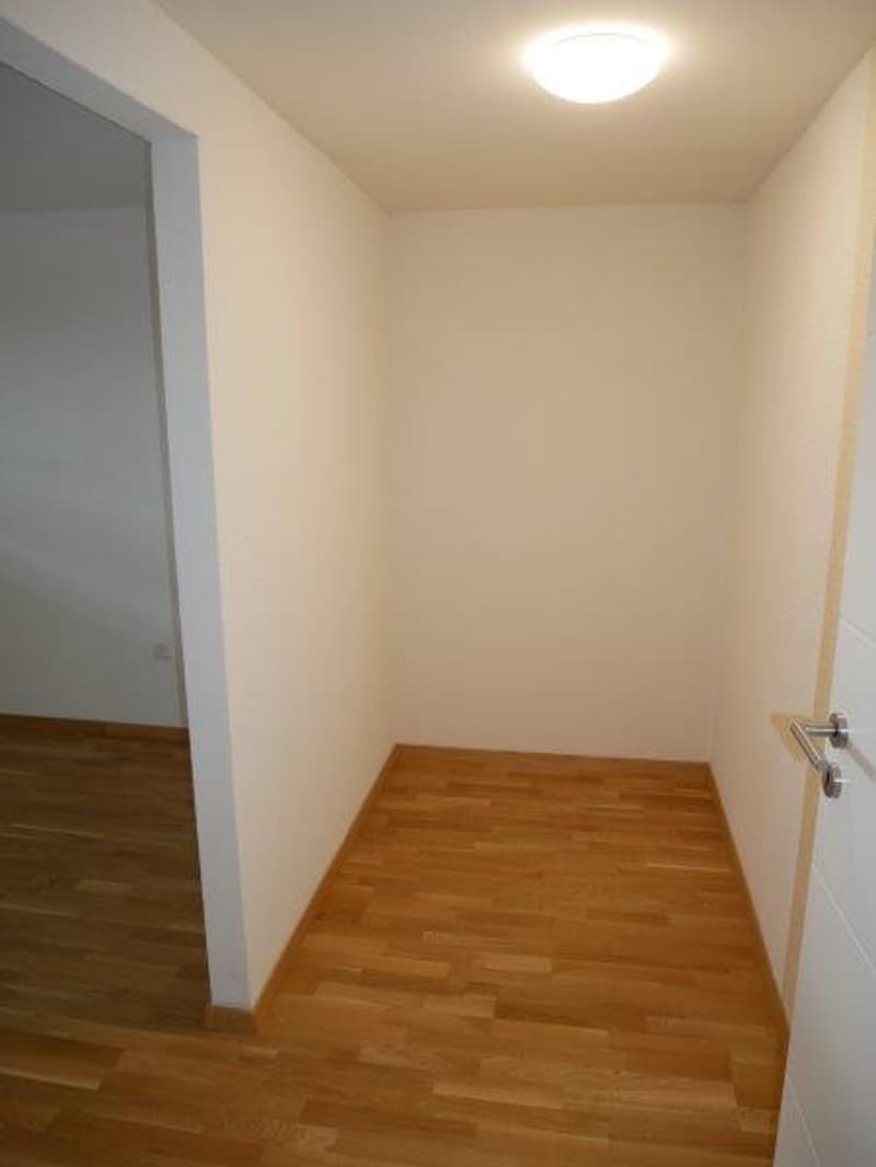 Beautiful 3-room apartment near the Rhine Falls (7)