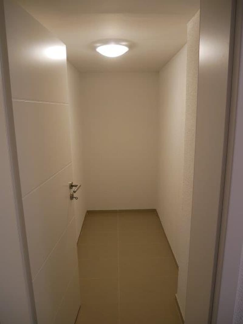 Beautiful 3-room apartment near the Rhine Falls (6)